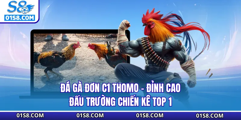 Đá Gà Đơn C1 Thomo S8 - Đỉnh Cao Đấu Trường Chiến Kê Top 1